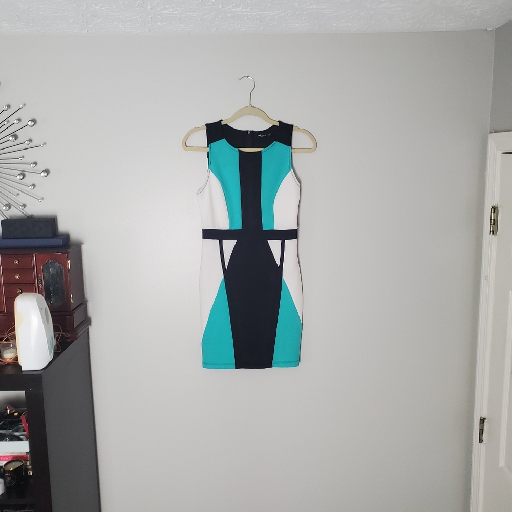 Body Con Dress